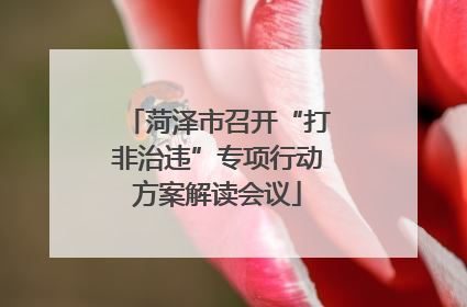 菏泽市召开“打非治违”专项行动方案解读会议
